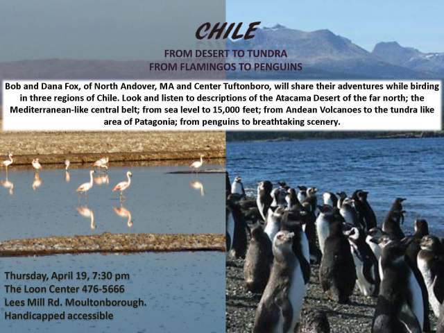 Chile Audubon Program Thursday, April 19