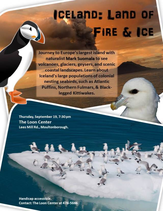 IcelandProgramFlyer_080913