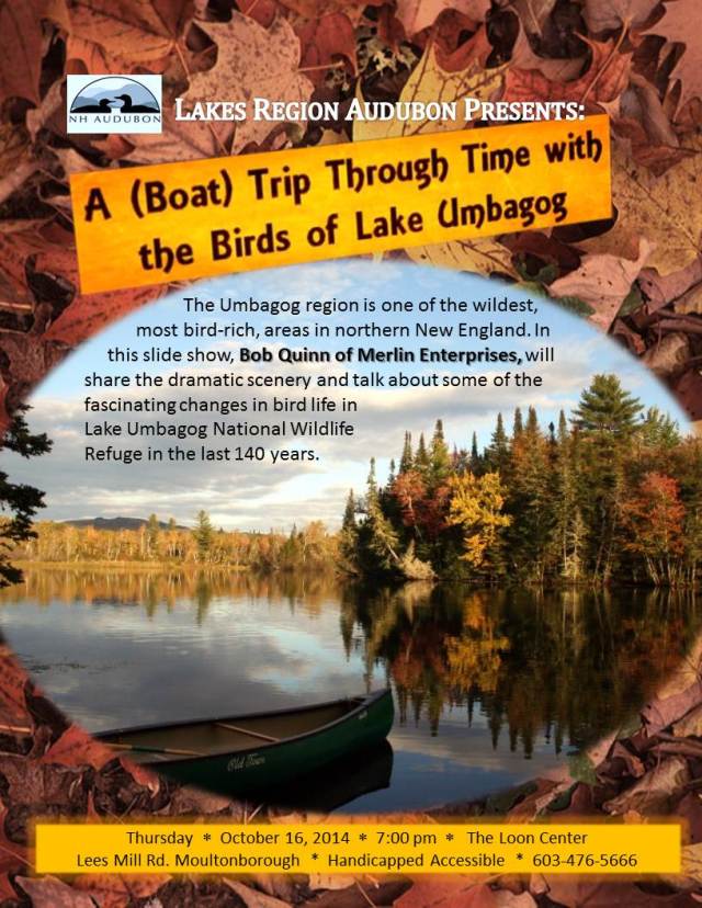 Umbagog_Flyer