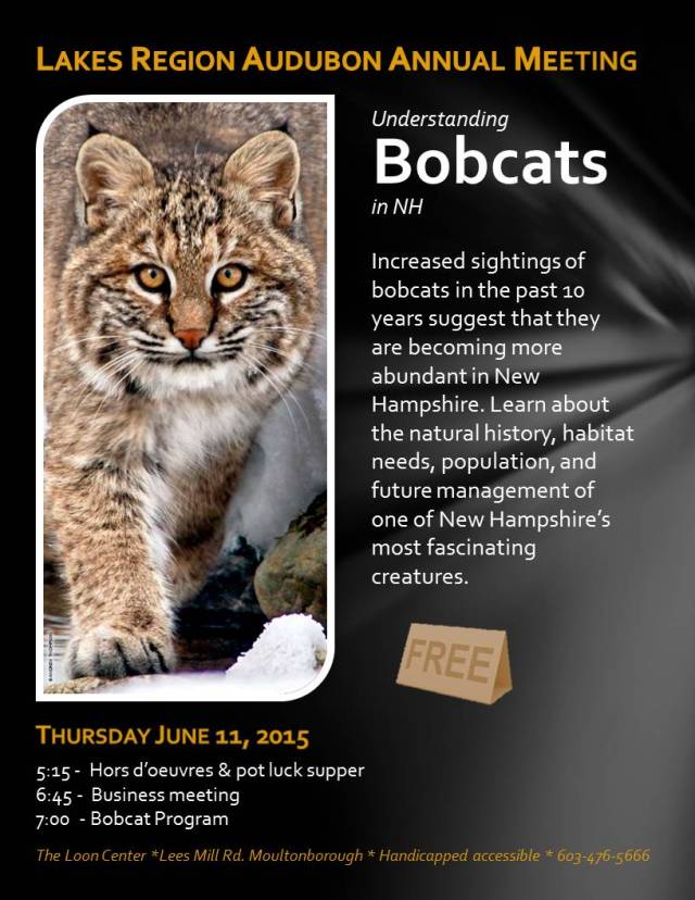 Bobcat_flyer_050515