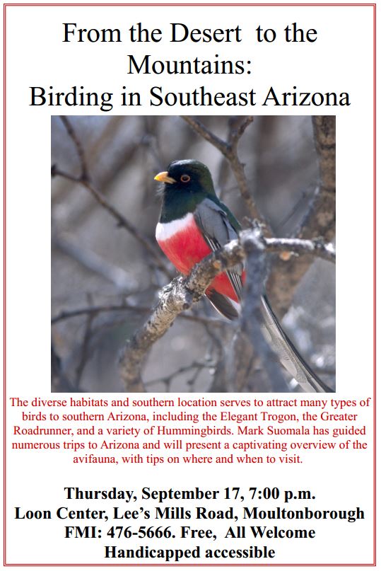 Birding Arizona Sept 2015