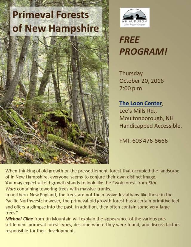 primevalforest_programflyer_oct2016